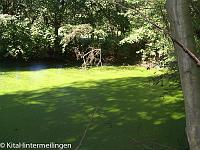 20110919-20110919-Ausflug Tongrube (5)